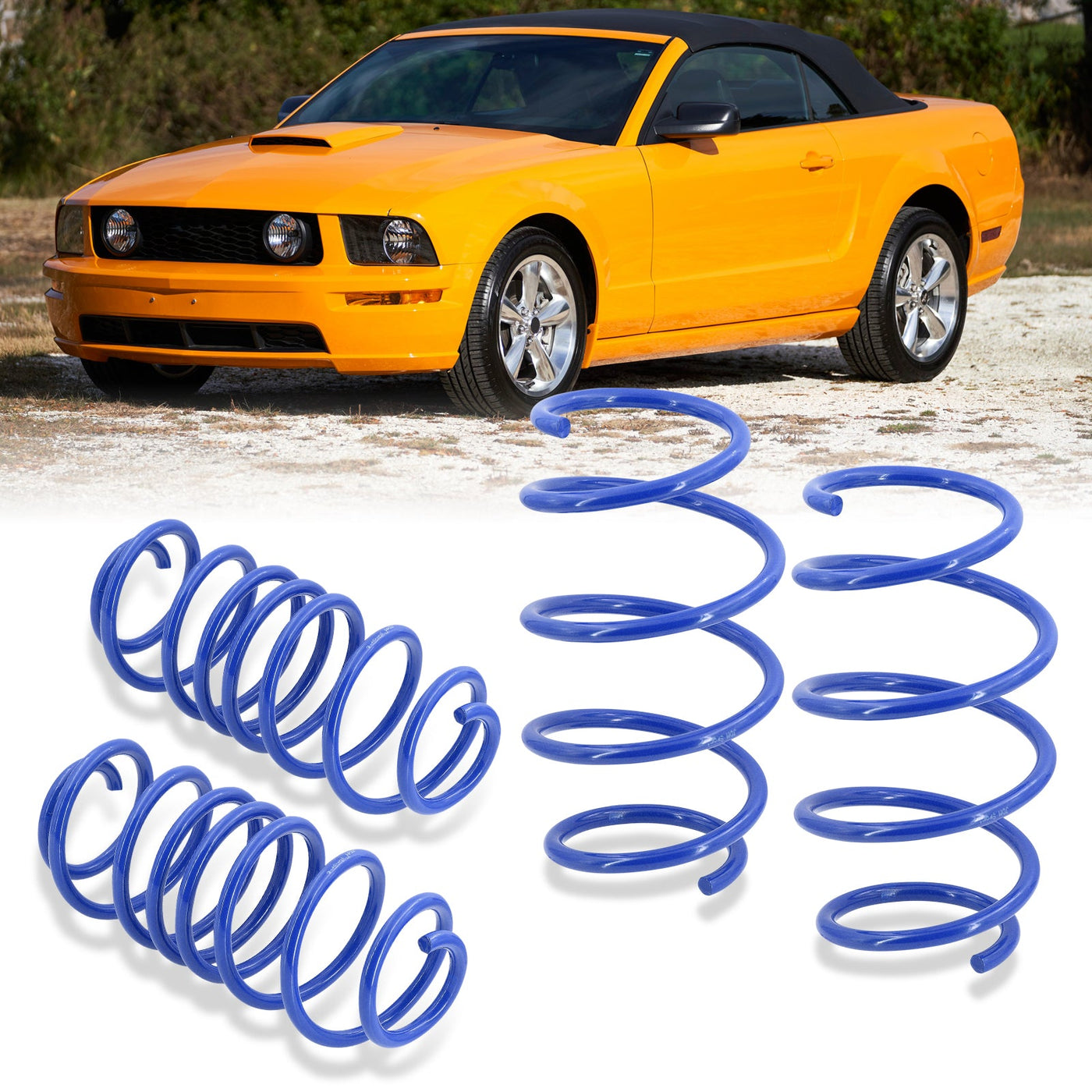 Ford Mustang 2005-2014 Lowering Springs Blue (V6 Drop Front ~1.1" / Rear ~1.9") (V8 Drop Front ~ 1.5" / Rear ~ 2.2")