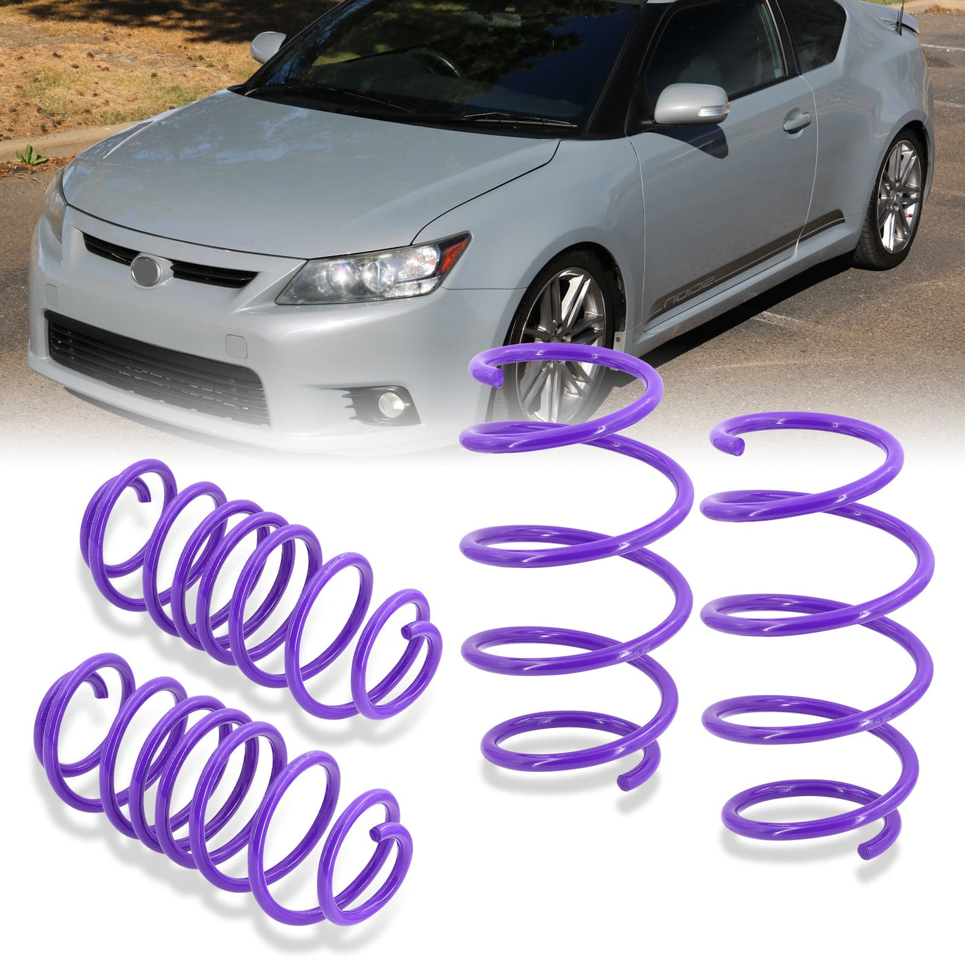 Scion TC 2011-2016 Lowering Springs Purple (Front ~1.5" / Rear ~1.8")