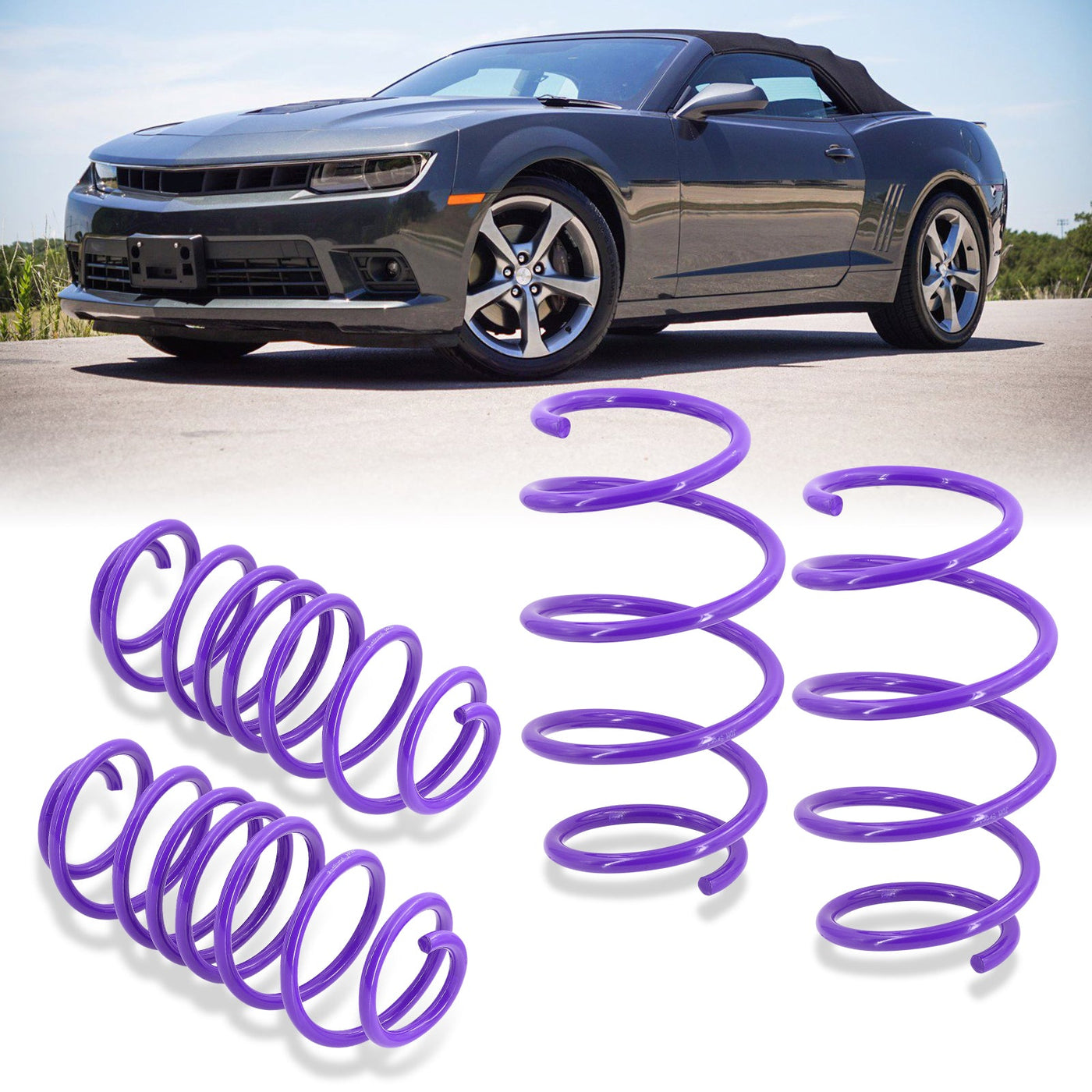 Chevy Camaro V8 2010-2015 Lowering Springs Purple (Front ~1.0" / Rear ~1.0")