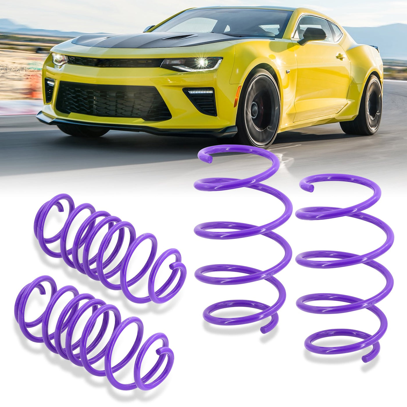 Chevy Camaro V8 2016-2021 Lowering Springs Purple (Front ~1.25" / Rear ~1.5")