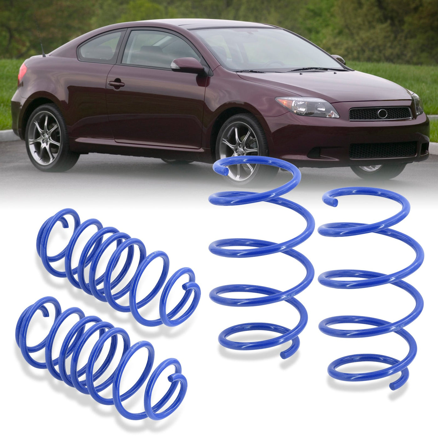 Scion tC 2005-2010 Lowering Springs Blue (Front ~2.0" / Rear ~2.1")