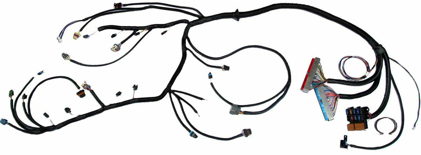 1998 - 2003 VORTEC 4.8 5.3 6.0 Standalone Fuel EV1 Wiring Harness W/4L80E (DBC)