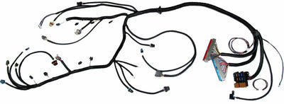 1998 - 2003 VORTEC 4.8 5.3 6.0 Standalone Fuel EV1 Wiring Harness W/4L80E (DBC)